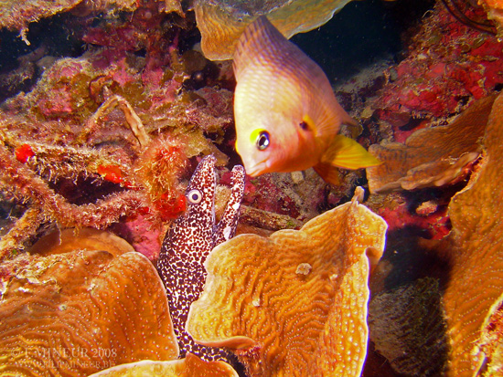 Bonaire 2008-20080326-021