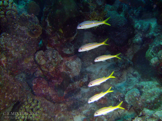 Bonaire 2008-20080326-022