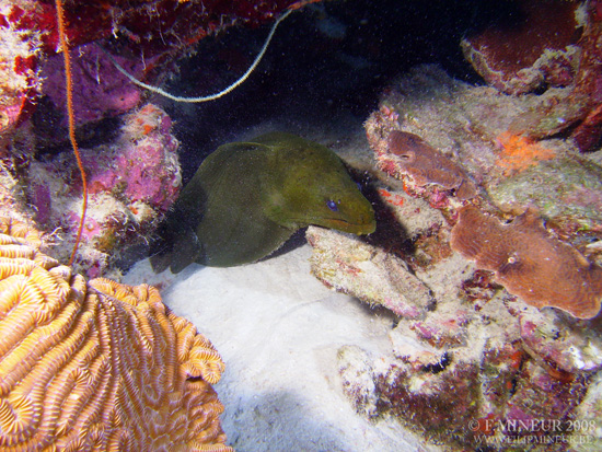 Bonaire 2008-20080327-027
