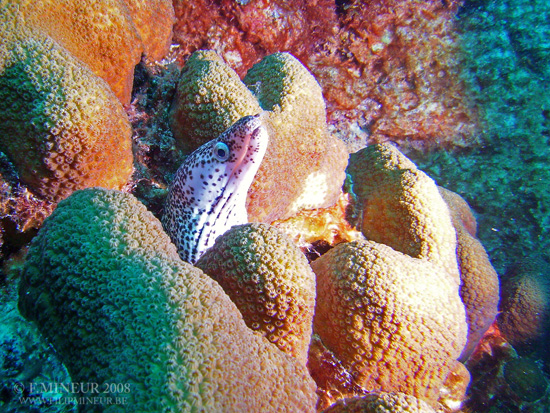 Bonaire 2008-20080327-036