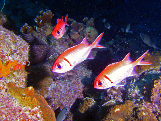 Bonaire 2008-20080329-038