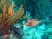 Bonaire 2008-20080326-015