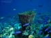 Bonaire 2008-20080327-026