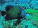 Bonaire 2008-20080327-033