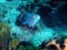 Bonaire 2008-20080329-043