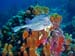 Bonaire 2008-20080329-044
