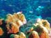 Bonaire 2008-20080329-045