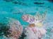 Bonaire 2008-20080329-046