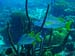 Bonaire 2008-20080329-048