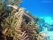 Bonaire 2008-20080330-051