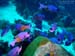 Bonaire 2008-20080331-053