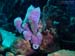 Bonaire 2008-20080331-054