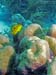 Bonaire 2008-20080331-067
