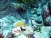 Bonaire 2008-20080331-068