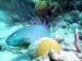 Bonaire 2008-20080331-069