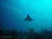 Bonaire 2008-20080402-001