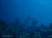 Bonaire 2008-20080402-002