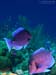 Bonaire 2008-20080402-005