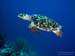 Bonaire 2008-20080402-009