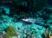 Bonaire 2008-20080402-010