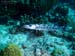 Bonaire 2008-20080402-011